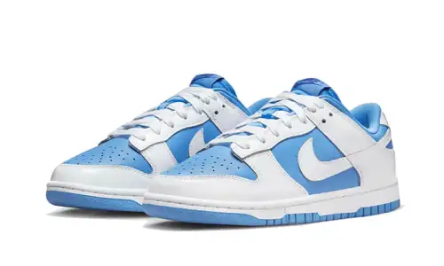 Nike Dunk Low Reverse UNC C6B1369
