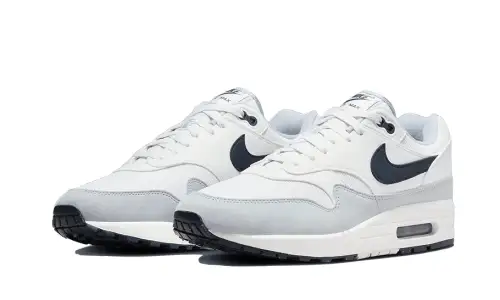 Nike Air Max 1 Pure Platinum 0EE485