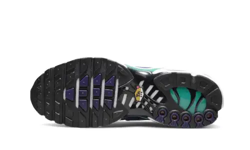 Nike Air Max Plus White Grape Ice