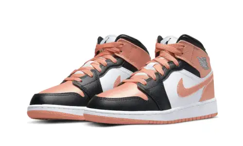 Air Jordan 1 Mid Light Madder Root E6B2D1320