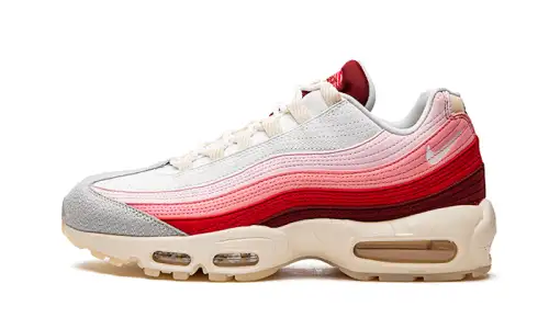 Nike Air Max 95 Anatomy of Air 990B1