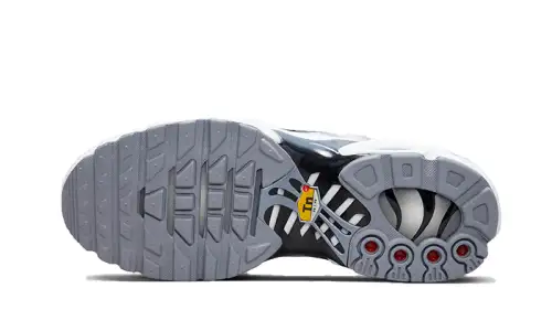 Nike Air Max Plus Sail Grey 