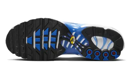 Nike Air Max Plus Light Photography Old Royal