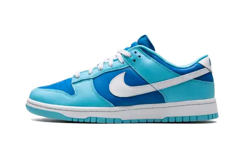Nike Dunk Low Argon 69B451732