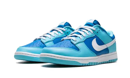 Nike Dunk Low Argon 69B451732