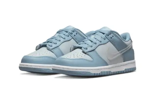Nike Dunk Low Clear Swoosh 