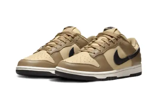 Nike Dunk Low Dark Driftwood 