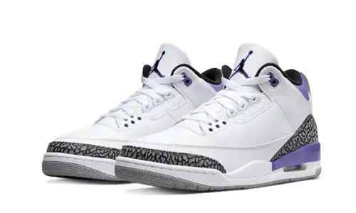 Air Jordan 3 Dark Iris 5D4F1778