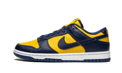 Nike Dunk Low Michigan 